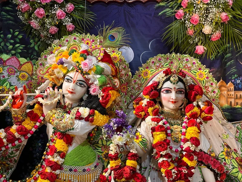 Annadaan Seva at ISKCON Indore